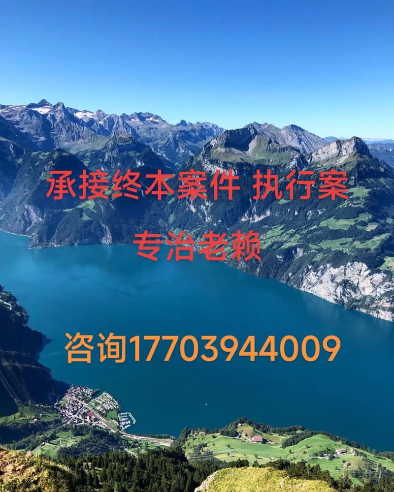 强制执行#终本案件#拒执罪#法律咨询#老赖#郸城县 - 抖音